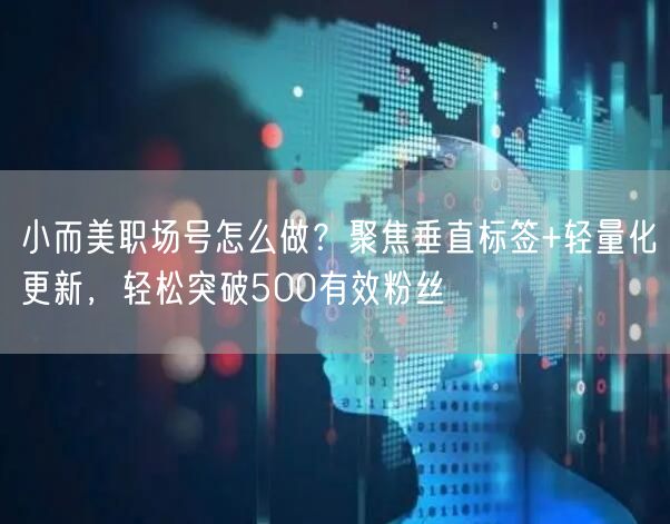 小而美职场号怎么做？聚焦垂直标签+轻量化更新，轻松突破500有效粉丝