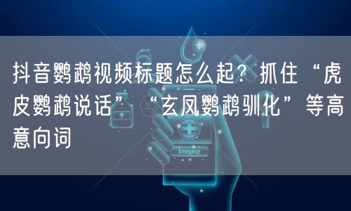 抖音鹦鹉视频标题怎么起?抓住“虎皮鹦鹉说话”“玄凤鹦鹉驯化”等高意向词