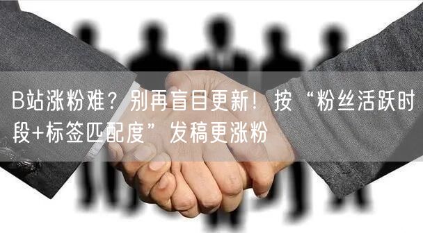 B站涨粉难？别再盲目更新！按“粉丝活跃时段+标签匹配度”发稿更涨粉