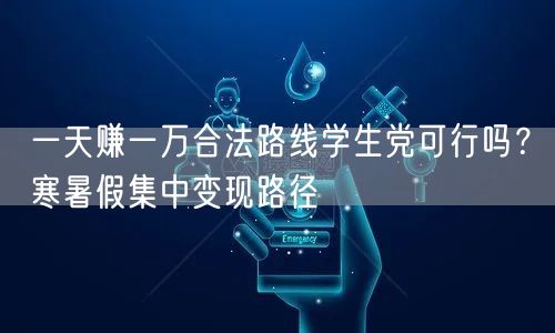 一天赚一万合法路线学生党可行吗?寒暑假集中变现路径