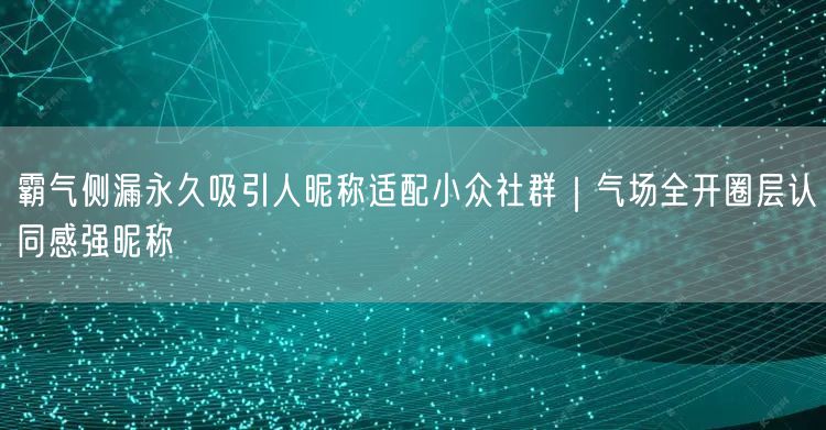 霸气侧漏永久吸引人昵称适配小众社群|气场全开圈层认同感强昵称