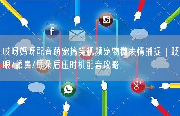 哎呀妈呀配音萌宠搞笑视频宠物微表情捕捉|眨眼/舔鼻/耳朵后压时机配音攻略
