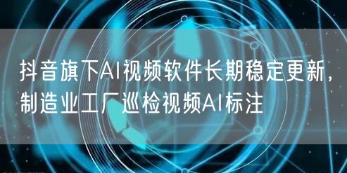 抖音旗下AI视频软件长期稳定更新,制造业工厂巡检视频AI标注